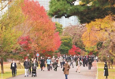 乾門|「皇居乾通り一般公開」で紅葉と江戸城歴史散策を楽しもう！【。